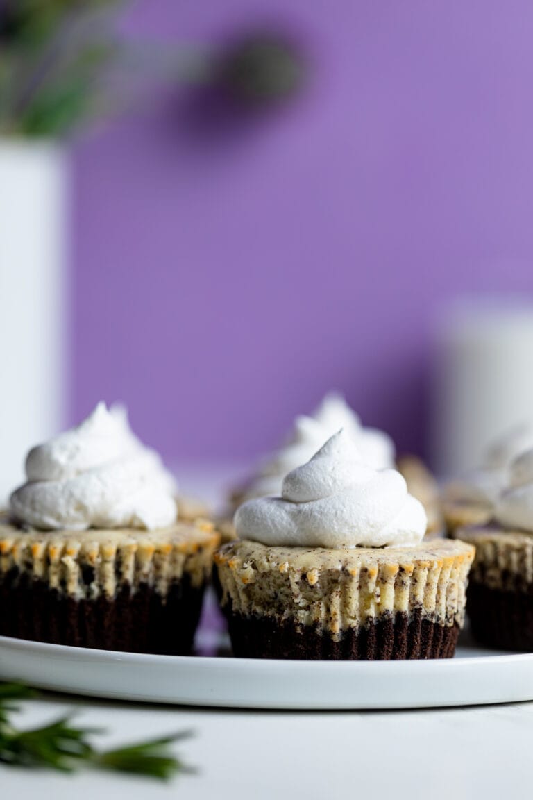 The Best Oreo Cheesecake Bites Orchids Sweet Tea