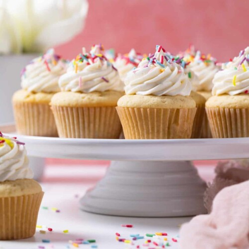 Gone Fishin' Cupcakes – With Sprinkles on Top