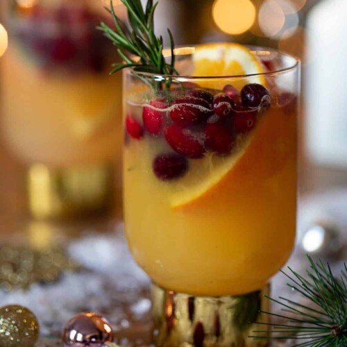 Sparkling Cranberry Mocktail - Oh So Delicioso