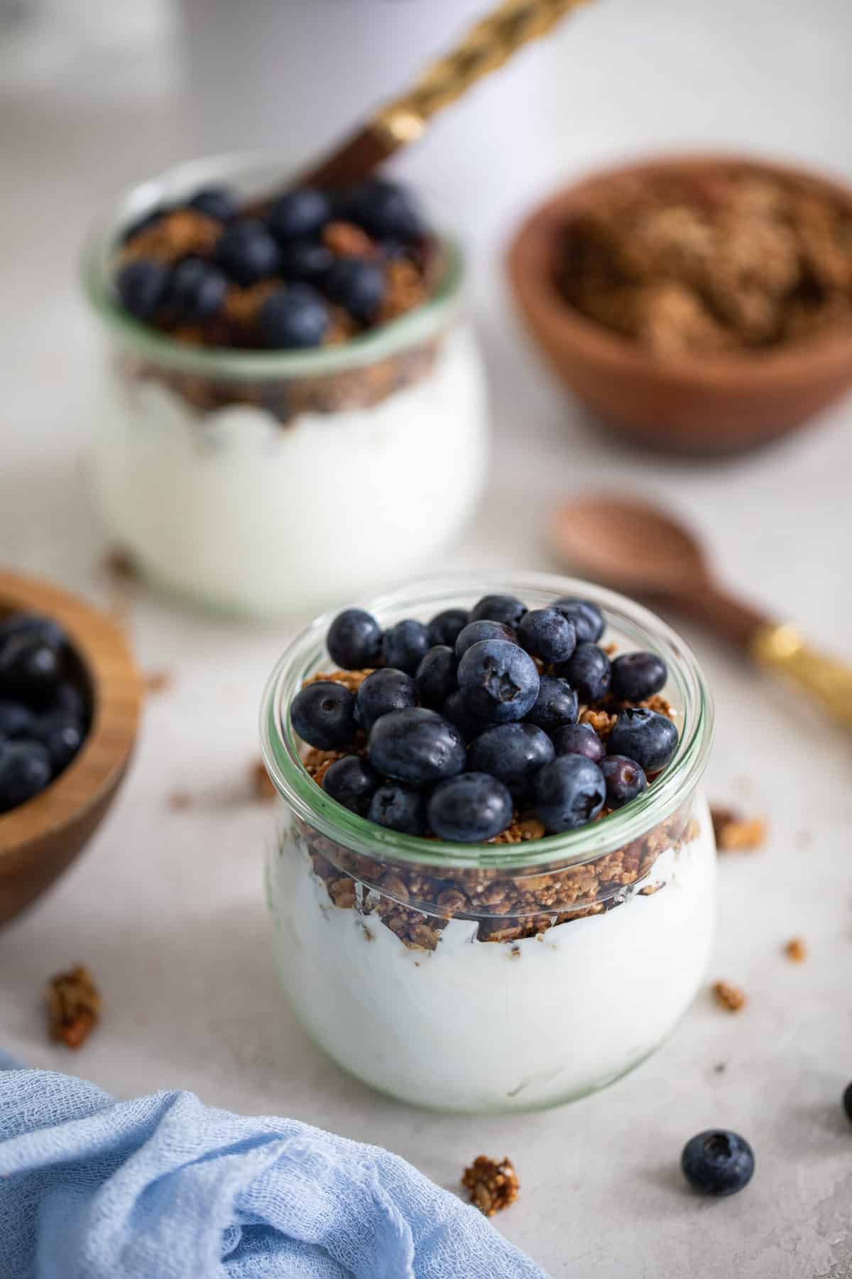 https://www.orchidsandsweettea.com/wp-content/uploads/2021/03/Blueberry-Yogurt-w-Granola-7-of-9-scaled.jpg