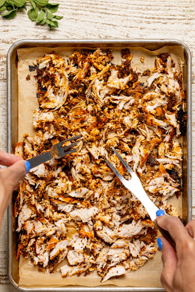 Easy Shredded Chicken Recipe [seasoned] Orchids Sweet Tea