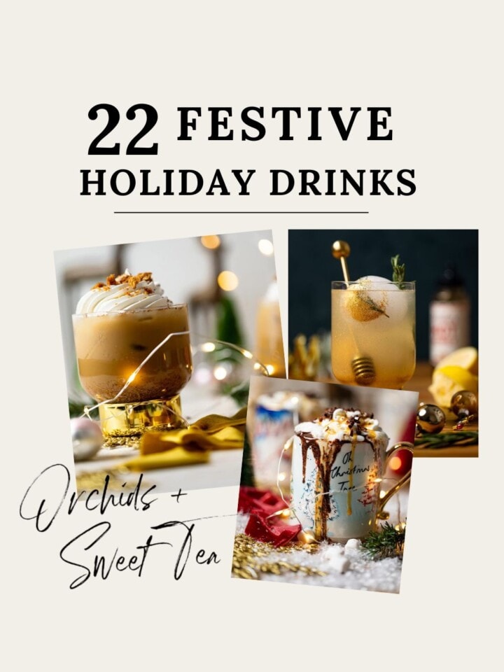 22 Festive Holiday Drinks Cover