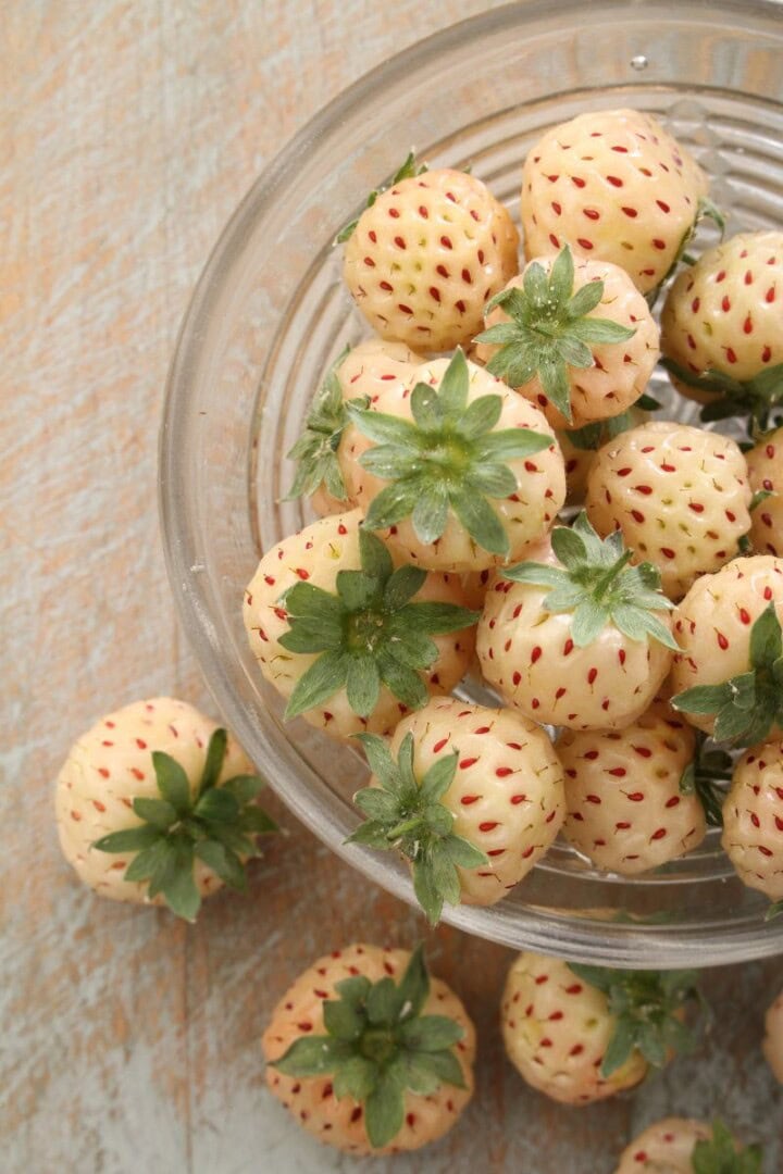 What Are Pineberries? Everything You Need To Know! | Orchids + Sweet Tea