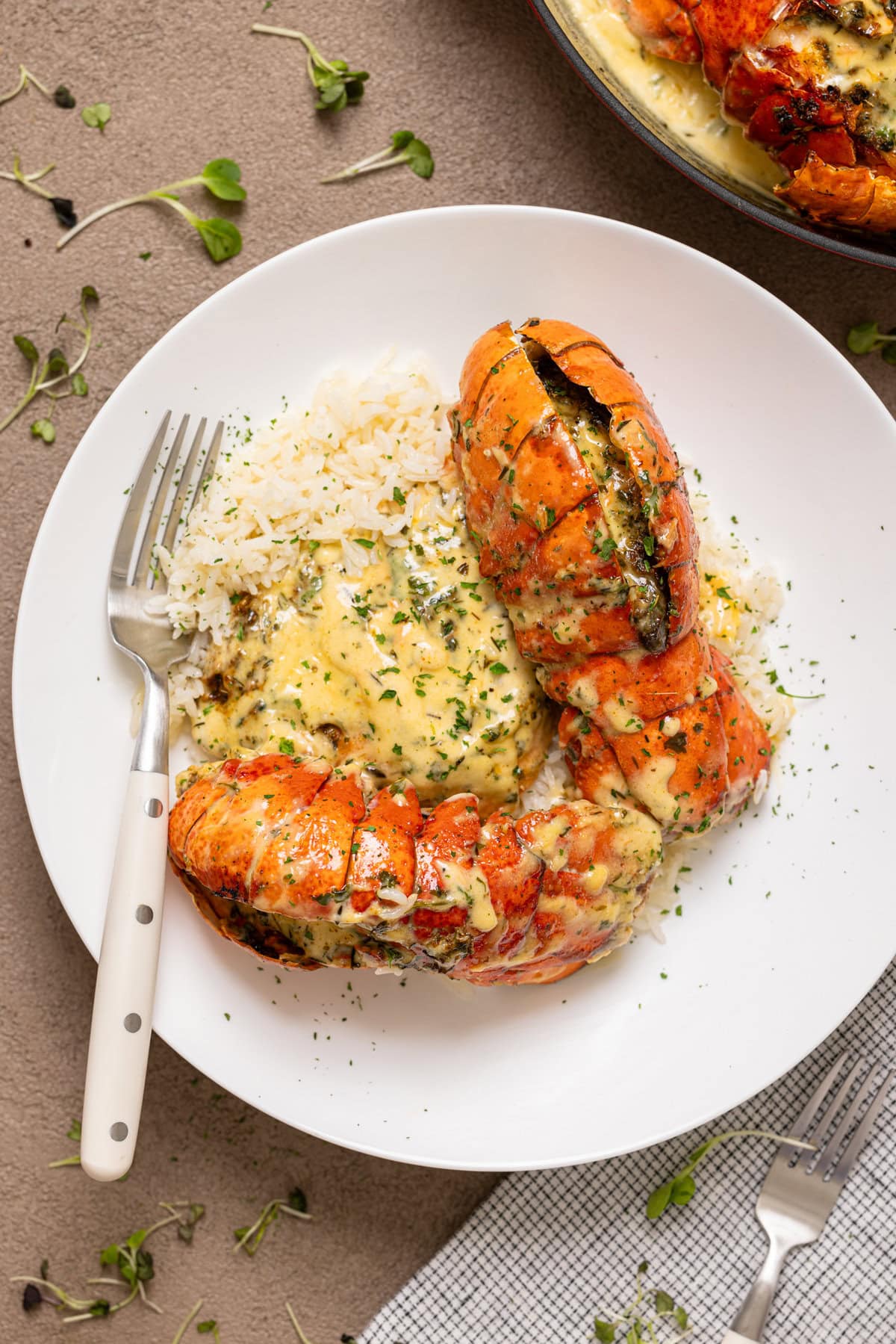 Lobster and salmon over rice in a white plate with a fork.