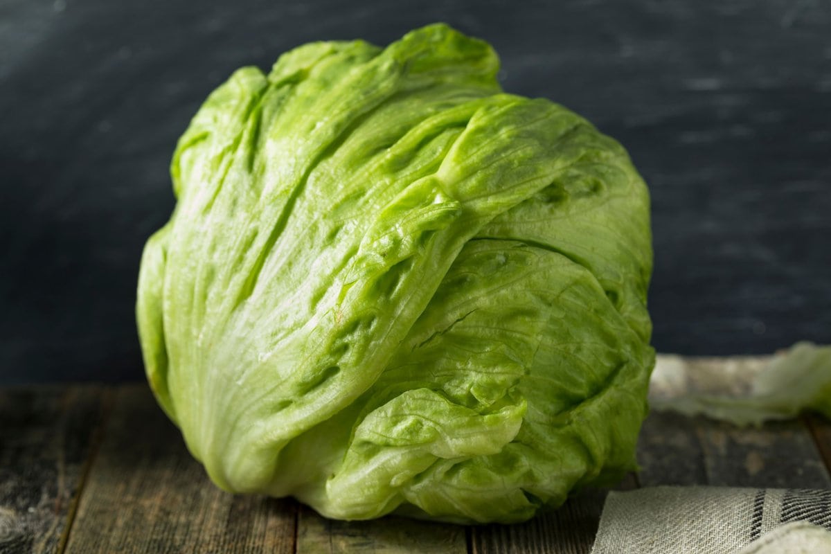 Whole iceberg lettuce sitting on table.