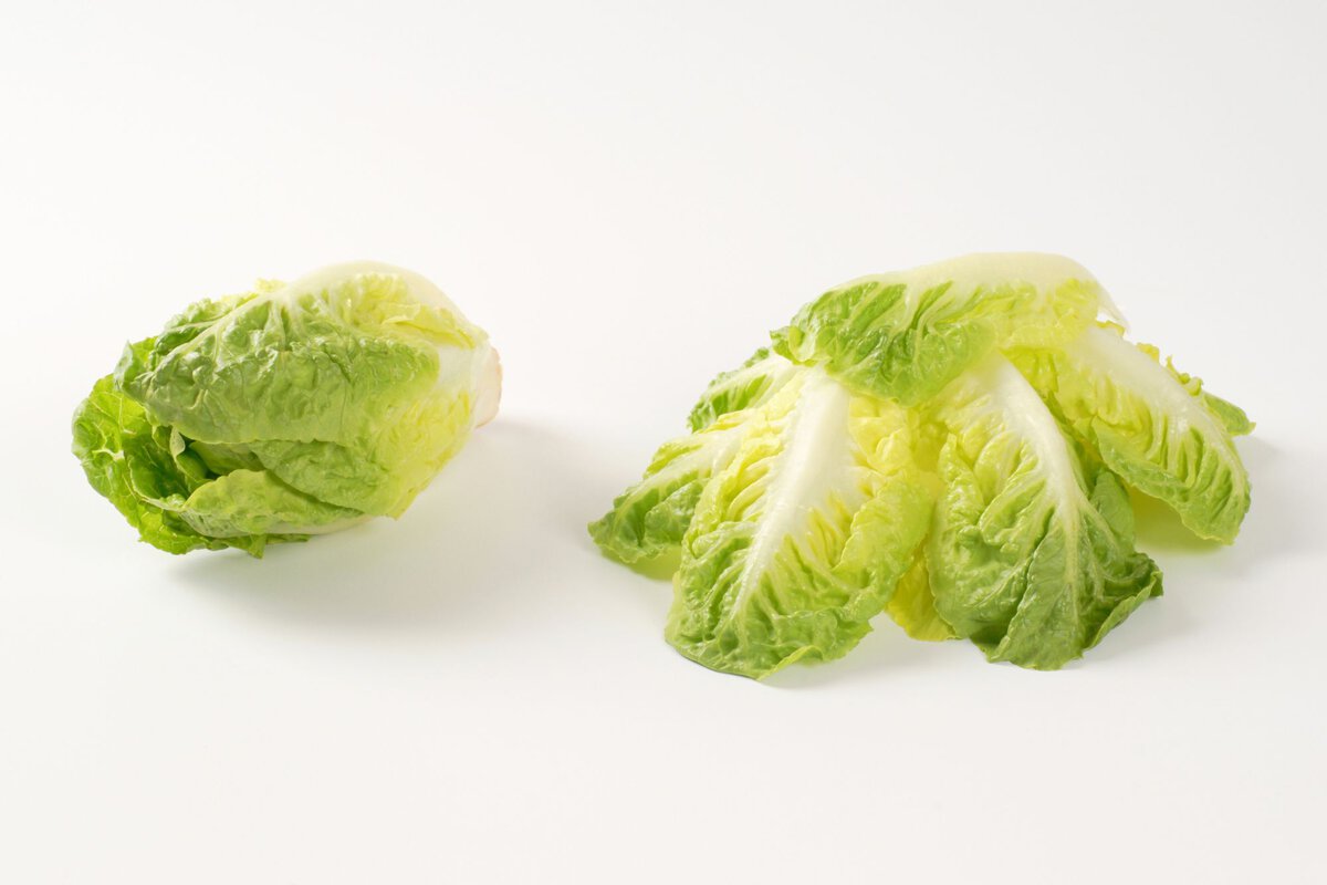 Small gem lettuce, one whole and one unravelled.