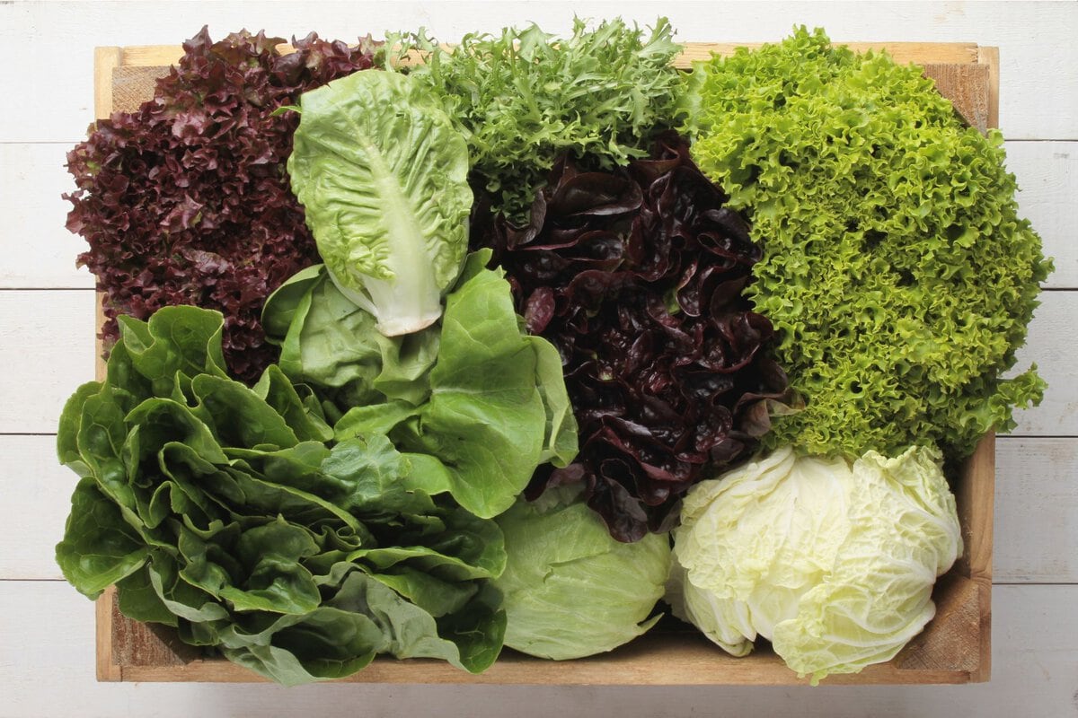 Different types of lettuce on wooden cutting board. 