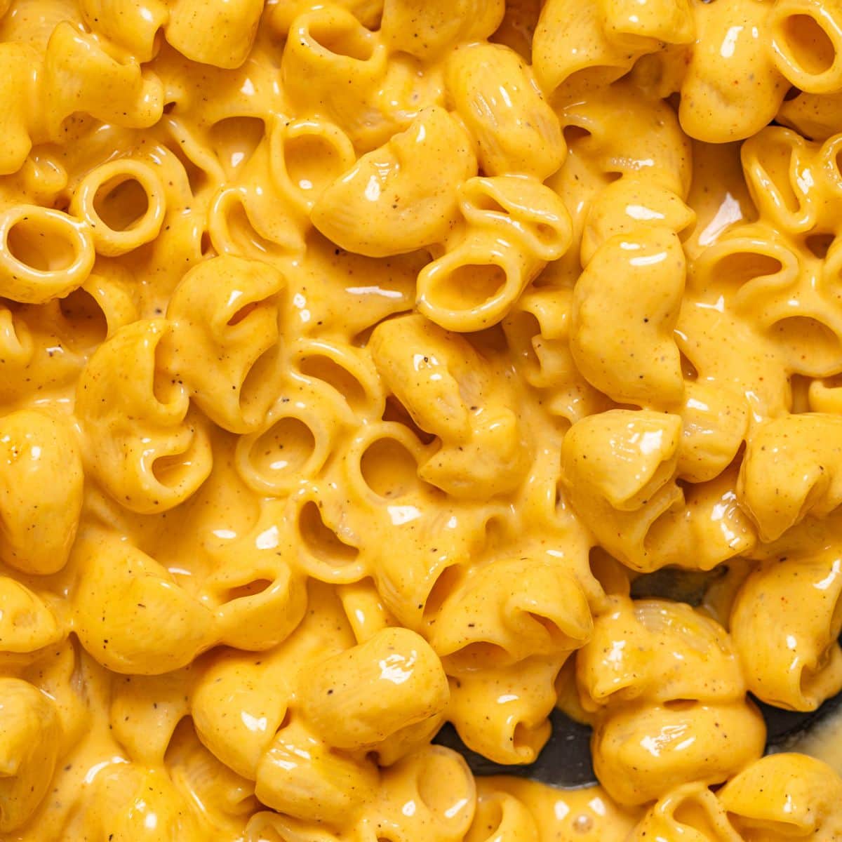 Up close shot of mac and cheese.