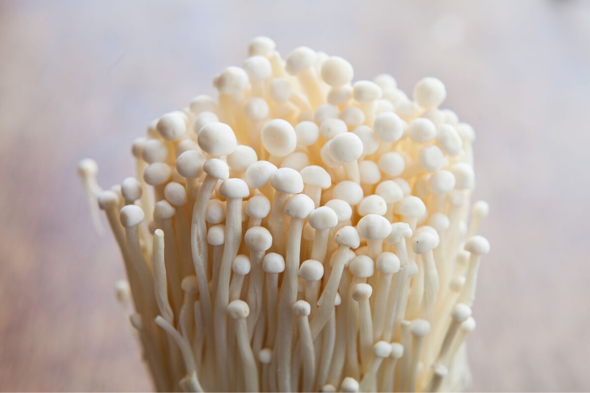 Bunch of Enoki mushrooms.