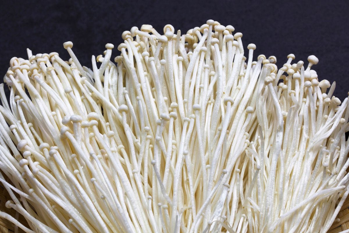 Big bunch of enoki mushrooms.