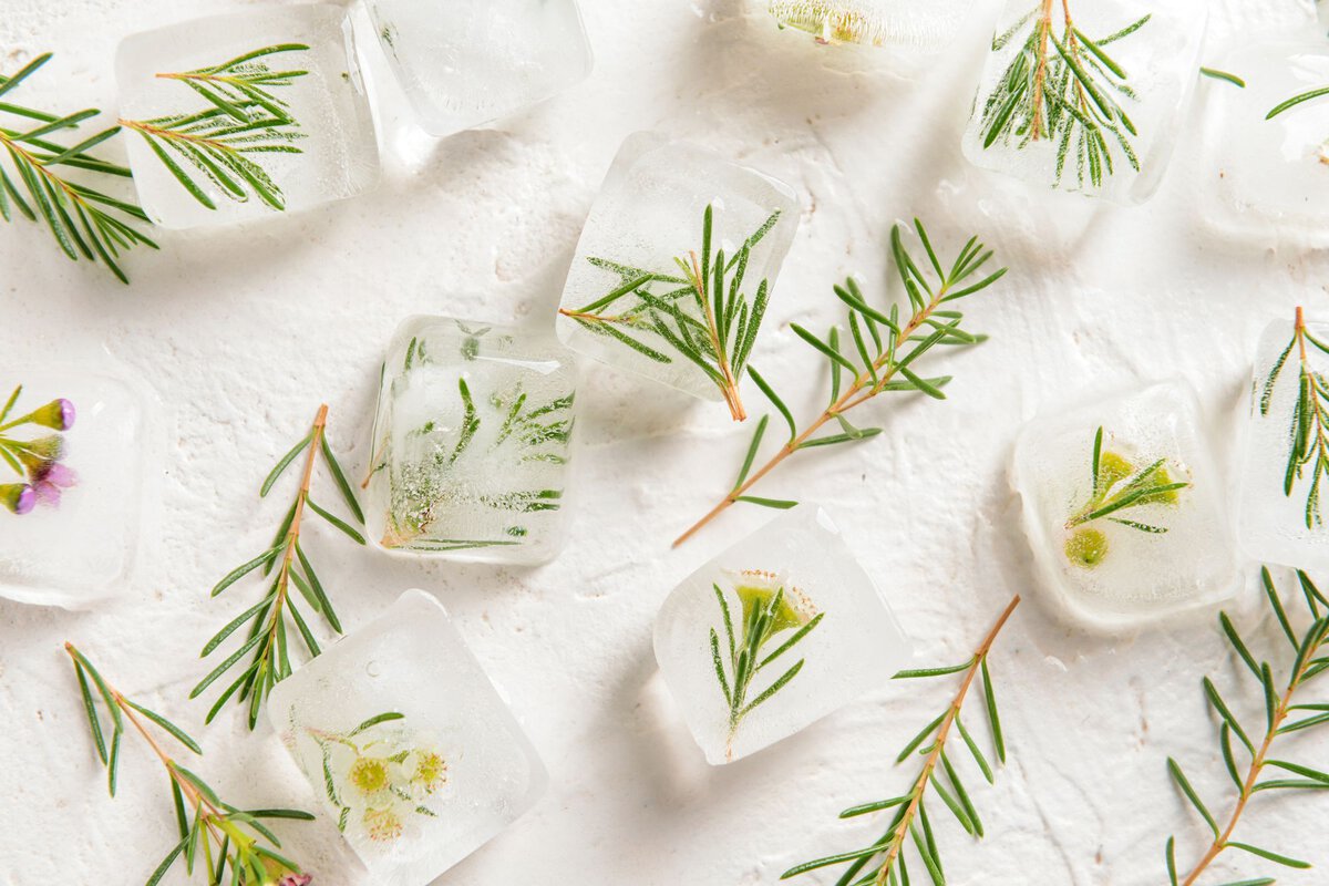 Frozen herbs in ice cubes.