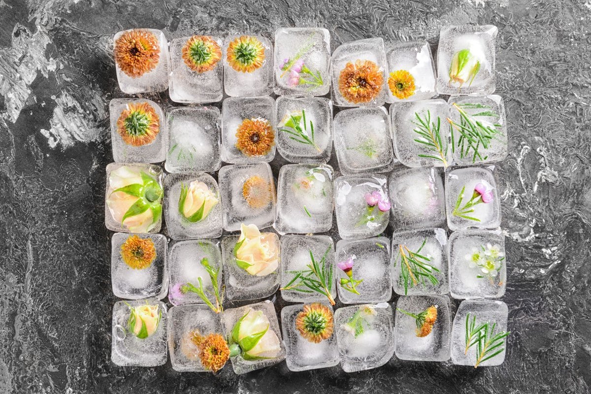 Ice cubes with herbs and dried flowers.