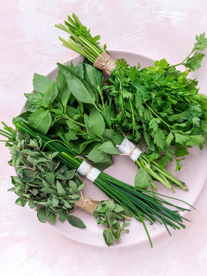 Fresh herbs on pink plate.