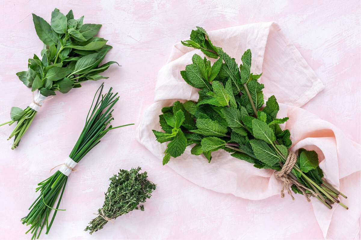 Fresh herbs in bunches.