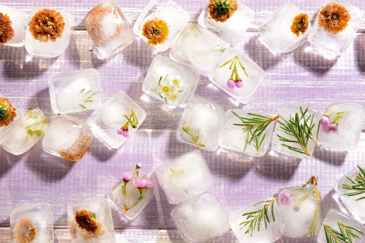 Frozen herbs with water in ice cubes.