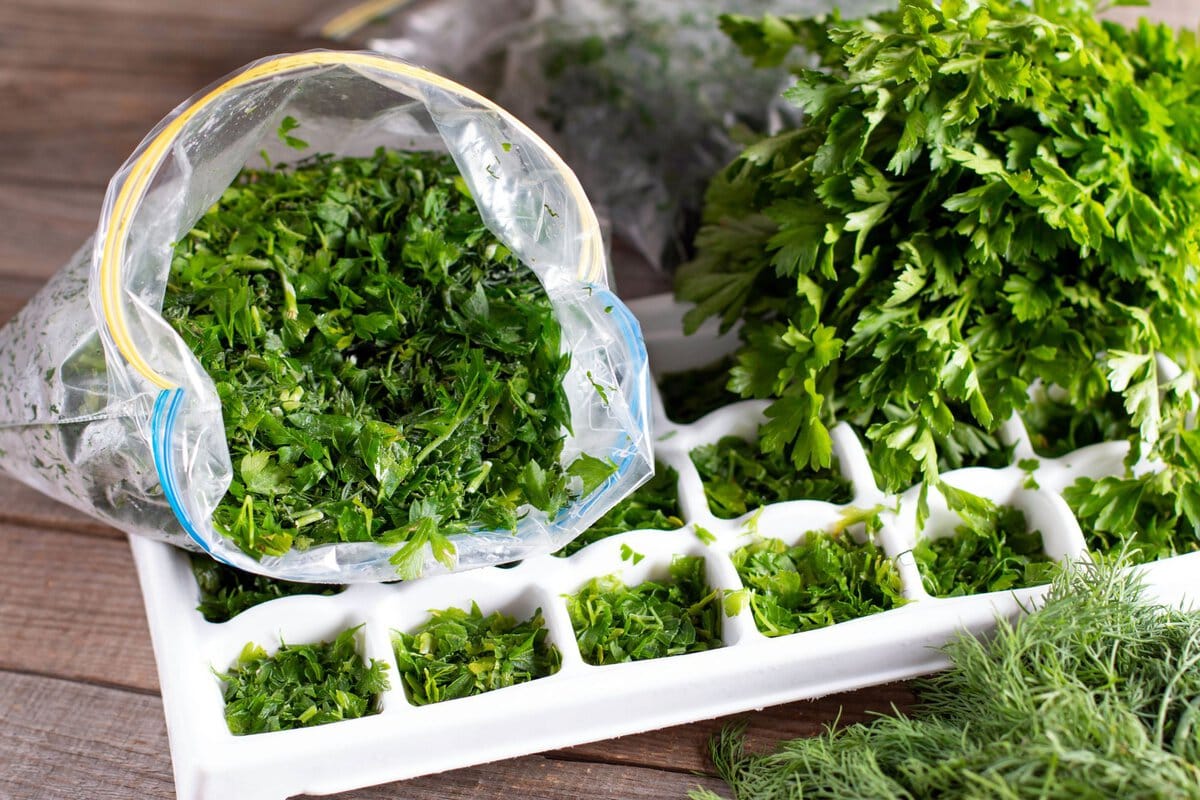 Fresh herbs in white ice cube tray.