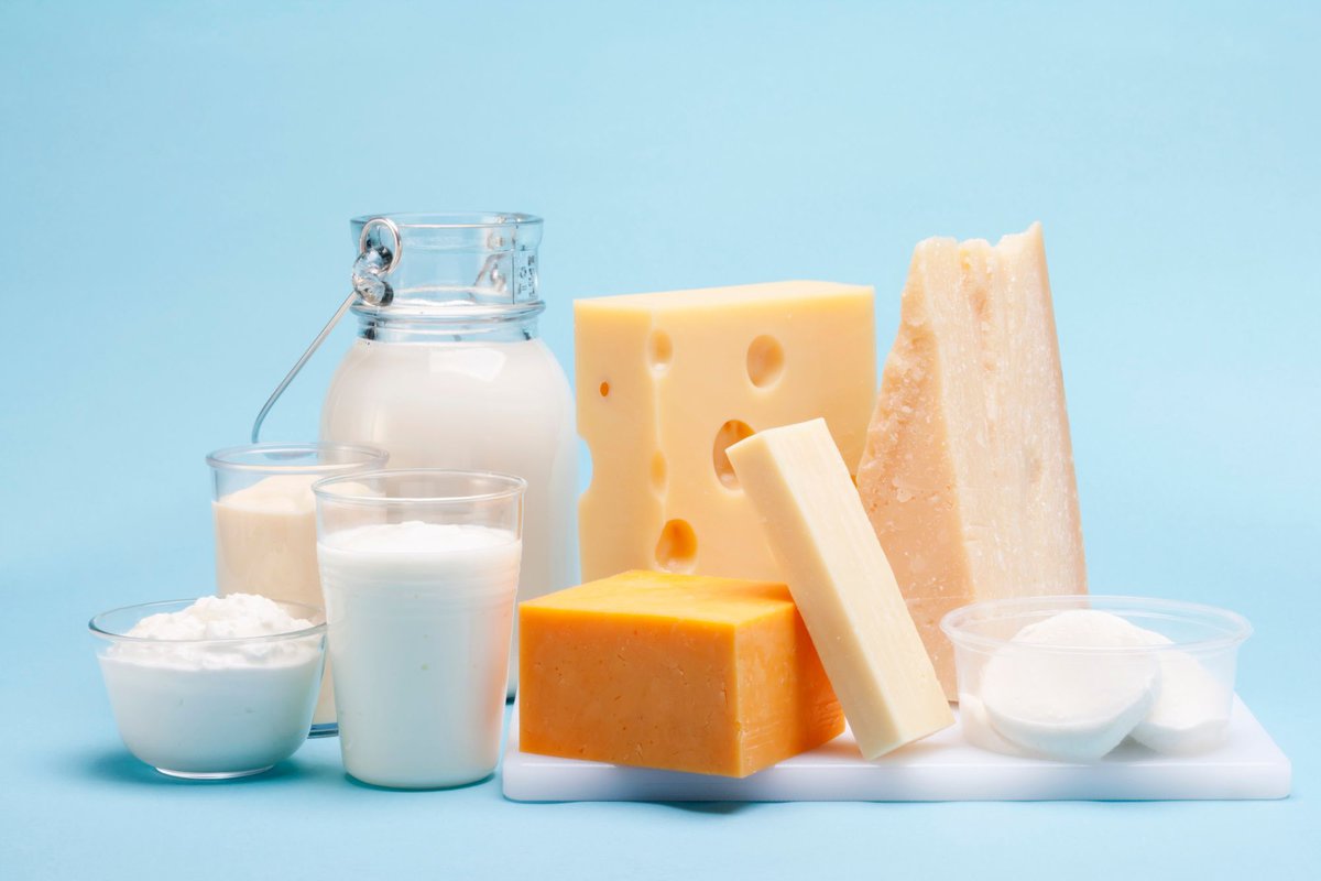 Milk, cheese and yogurts with blue background.