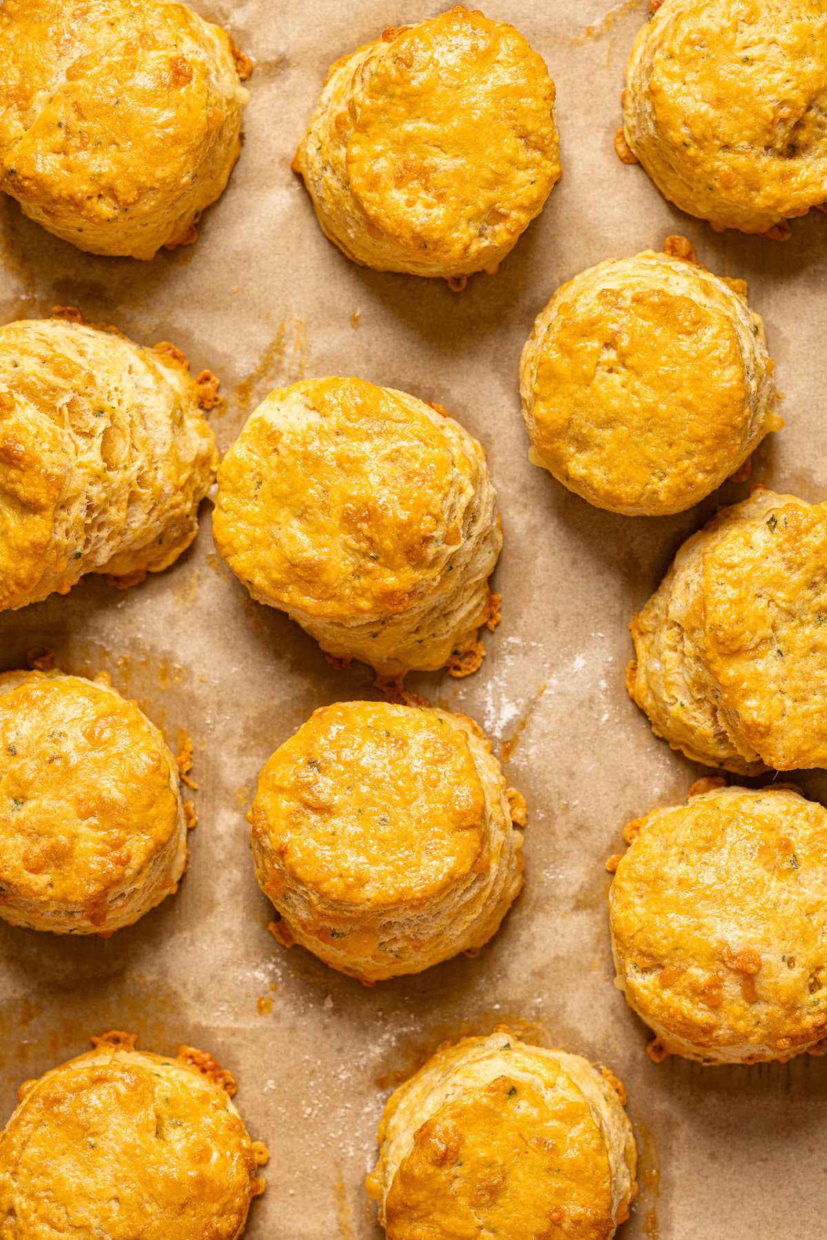 Up close shot of freshly baked biscuits on baking sheet with parchment paper.