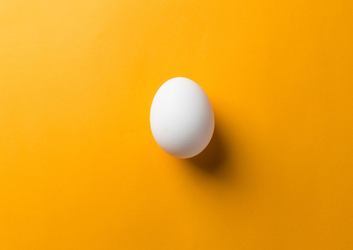 An egg on a orange background.