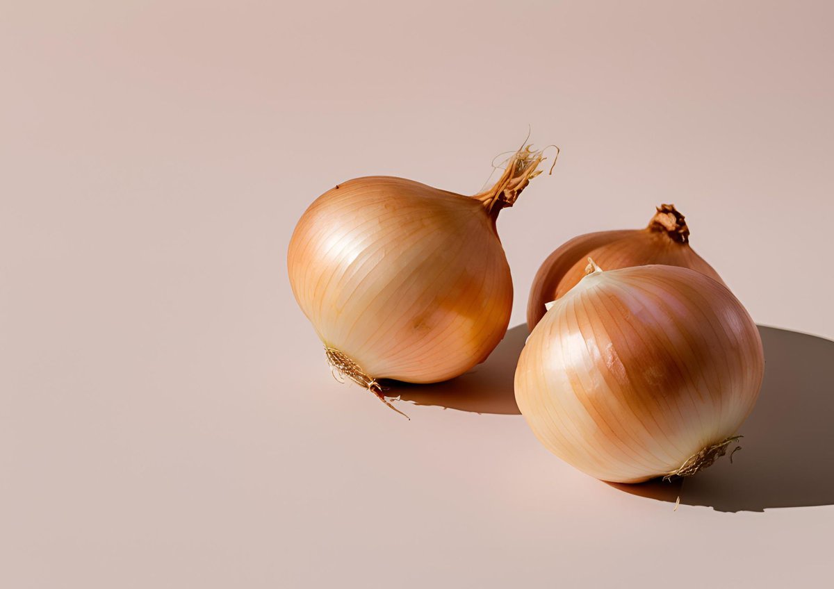 Brown Onion on pink background